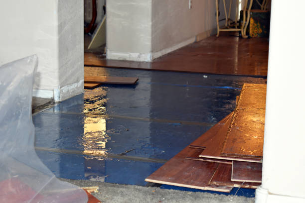 Professional Basement Flood Cleanup technician working in Hancock, MD
